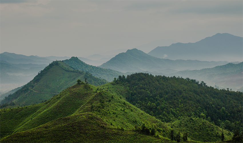 Sentul City Official - Rumah Asri View Gunung